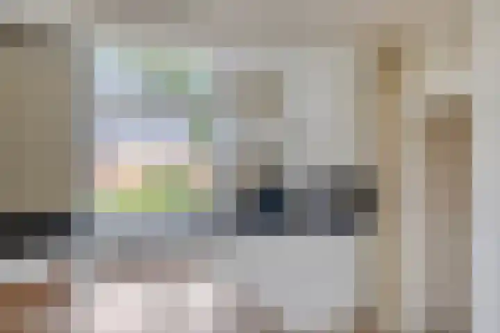 Het Bildt 157 Lelystad thumbnail 28