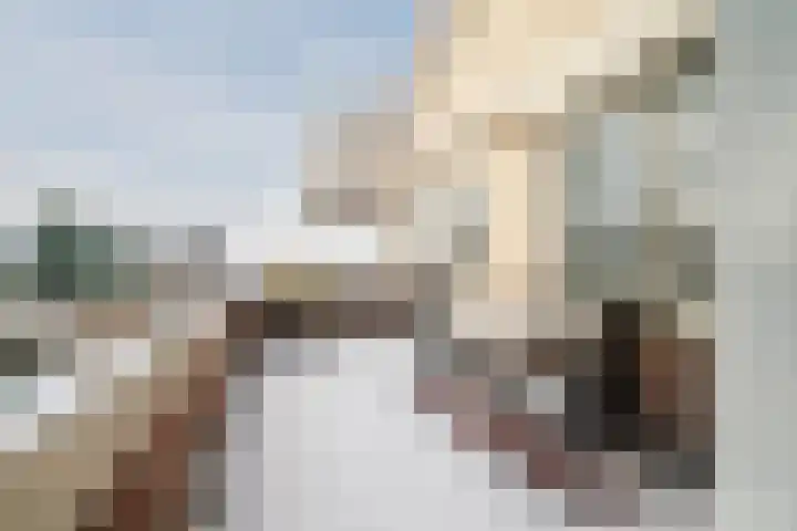 Het Bildt 157 Lelystad thumbnail 42