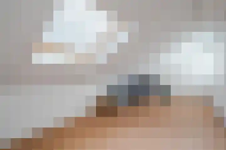 Het Bildt 157 Lelystad thumbnail 47