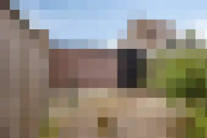 Het Bildt 157 Lelystad thumbnail 49