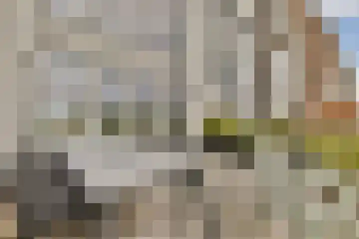 Het Bildt 157 Lelystad thumbnail 51