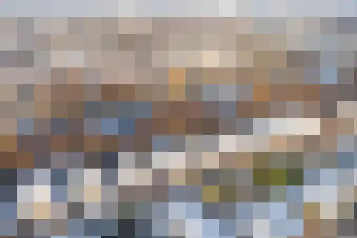 Het Bildt 157 Lelystad thumbnail 57