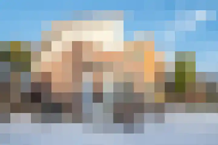 Het Bildt 157 Lelystad thumbnail 62