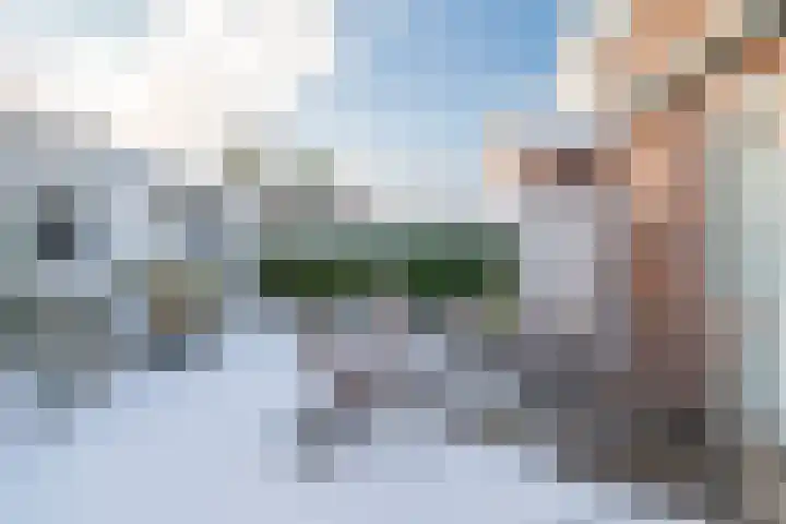 Het Bildt 157 Lelystad thumbnail 68