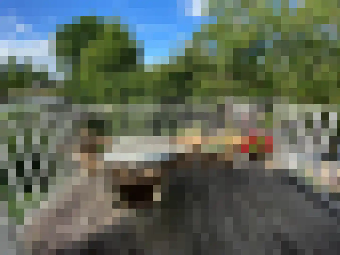 Het Binneveld 22 Sint-Oedenrode thumbnail 27