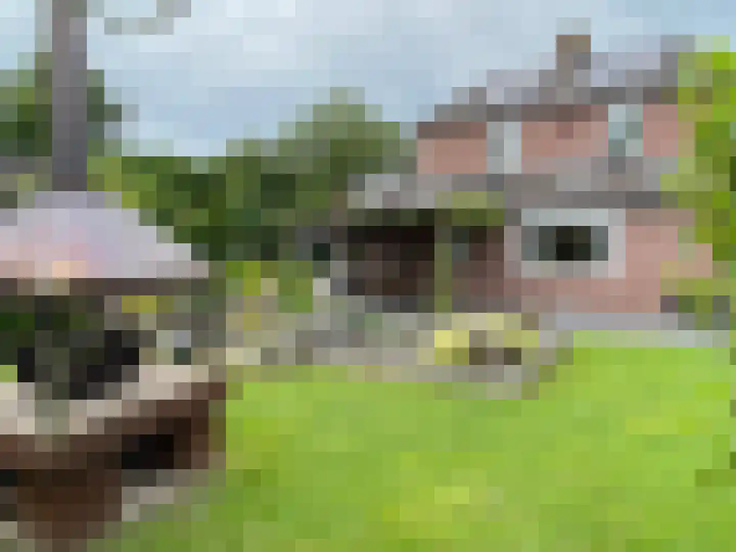 Het Binneveld 22 Sint-Oedenrode thumbnail 31