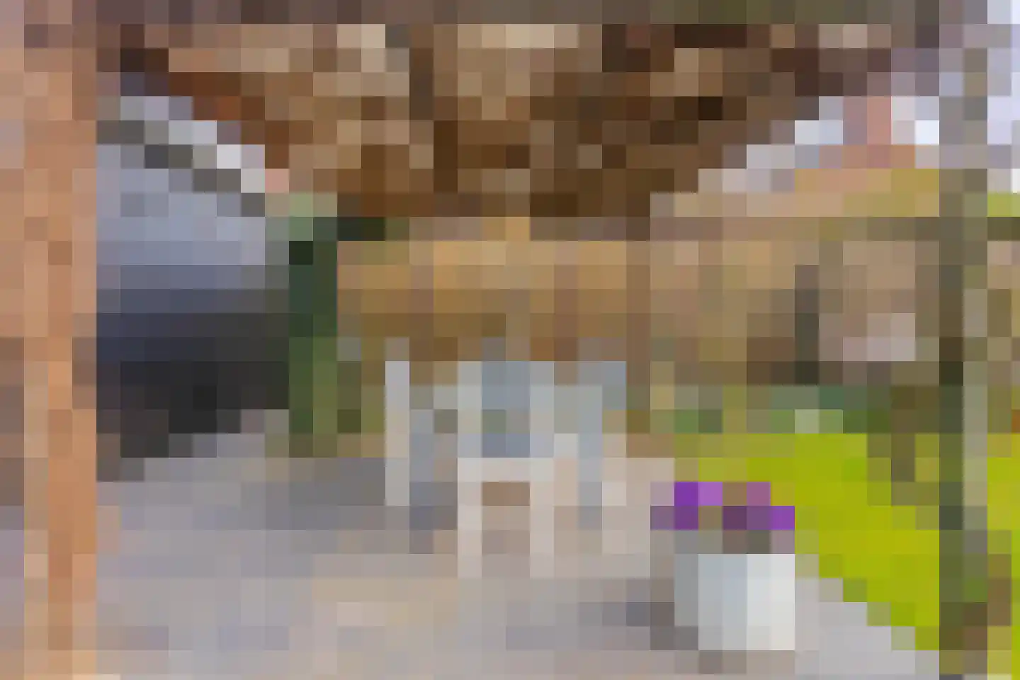 Het Binneveld 22 Sint-Oedenrode thumbnail 32