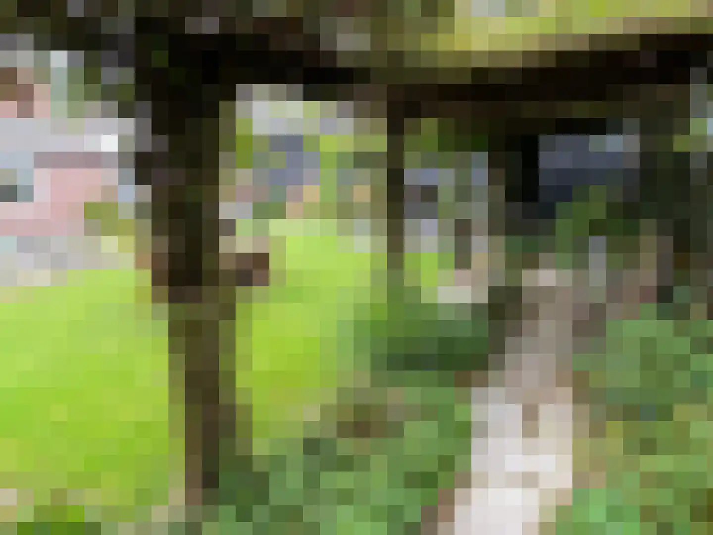 Het Binneveld 22 Sint-Oedenrode thumbnail 33