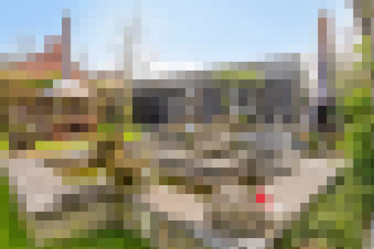 Het Binneveld 22 Sint-Oedenrode thumbnail 40