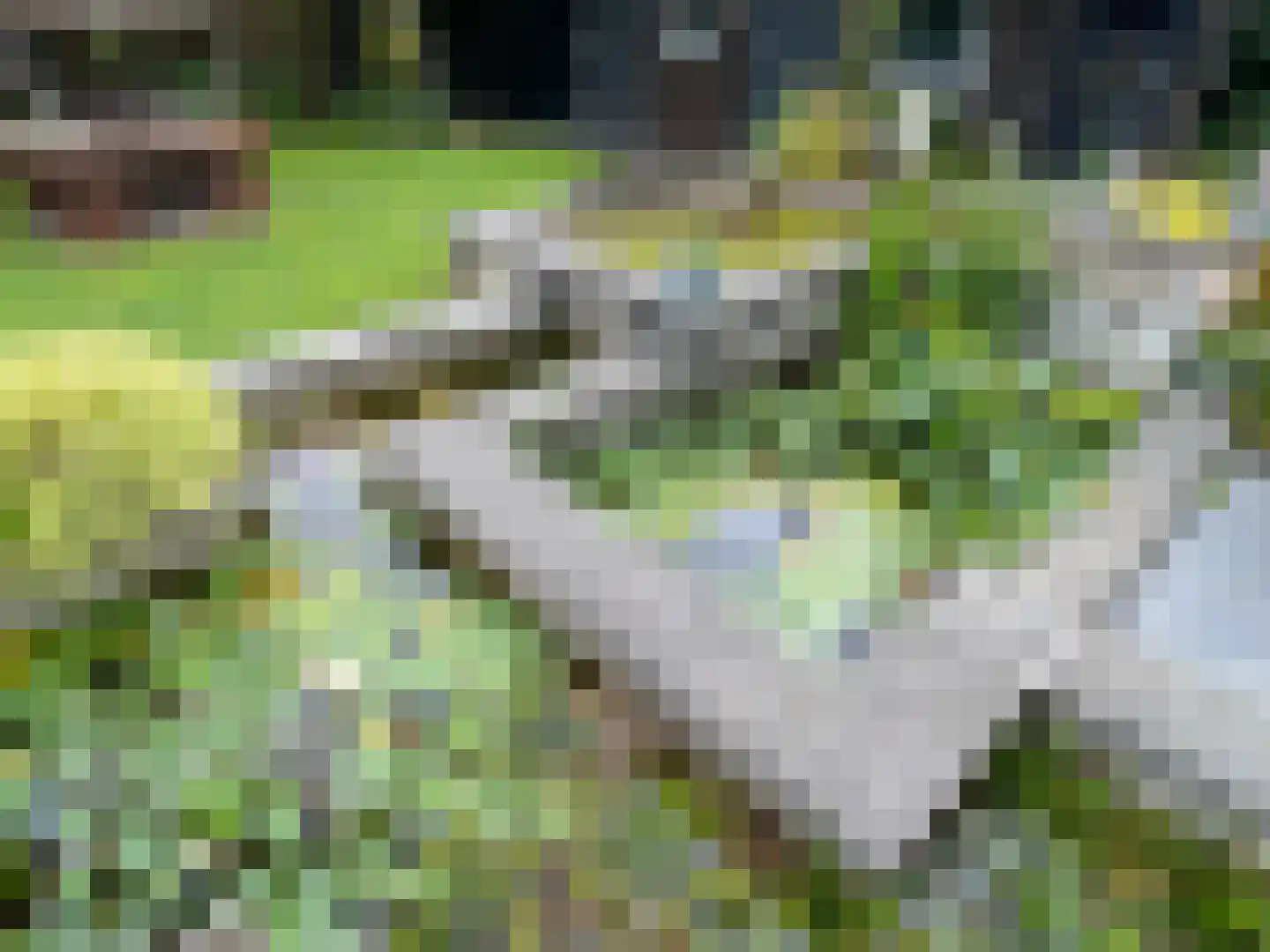 Het Binneveld 22 Sint-Oedenrode thumbnail 45