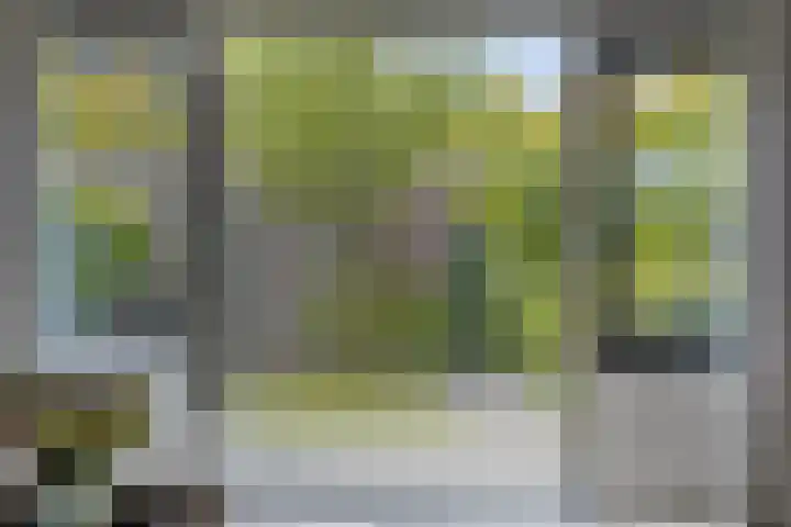 Het Blazoen 44 Rosmalen thumbnail 23