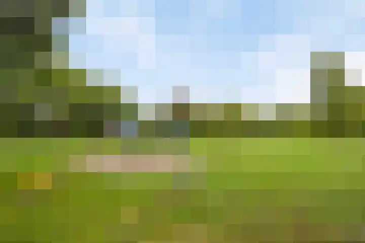 Het Blazoen 44 Rosmalen thumbnail 30