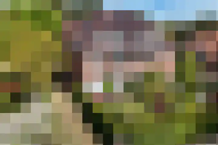 Het Blazoen 6 Rosmalen thumbnail 12