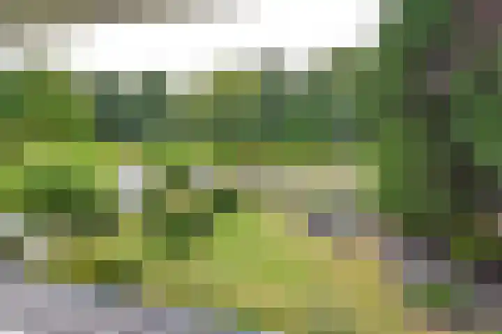 Het Blazoen 6 Rosmalen thumbnail 13