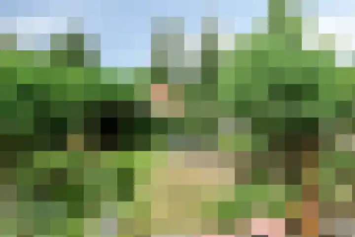 Het Blazoen 6 Rosmalen thumbnail 35