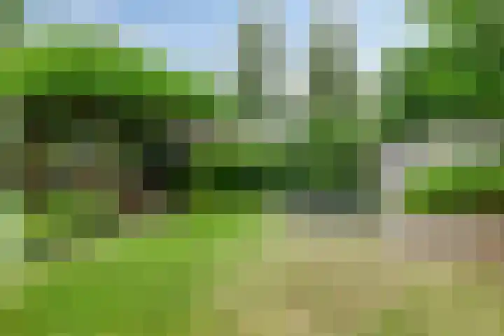 Het Blazoen 6 Rosmalen thumbnail 38