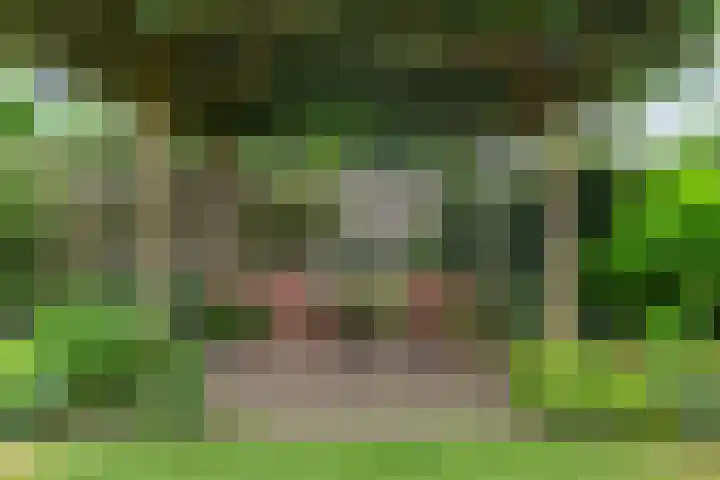 Het Blazoen 6 Rosmalen thumbnail 39