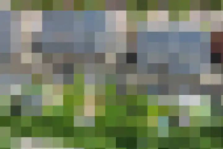 Het Blazoen 6 Rosmalen thumbnail 43