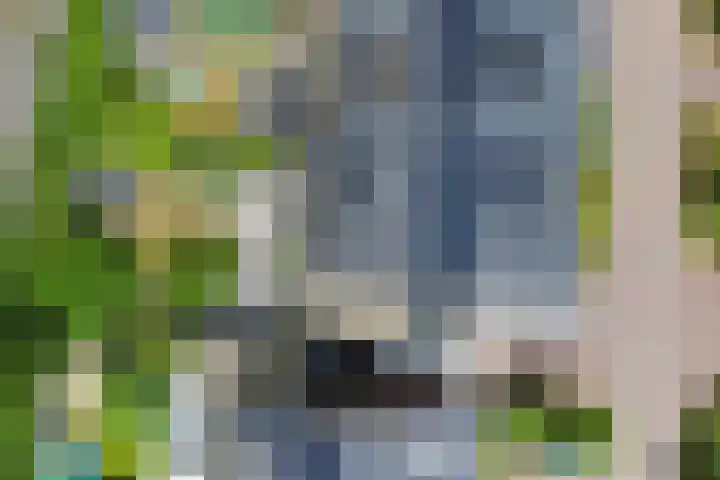 Het Blazoen 6 Rosmalen thumbnail 44