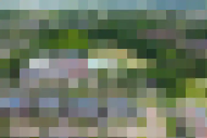 Het Blazoen 6 Rosmalen thumbnail 46