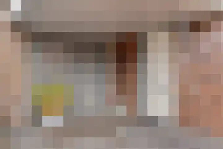 Het Blazoen 6 Rosmalen thumbnail 49