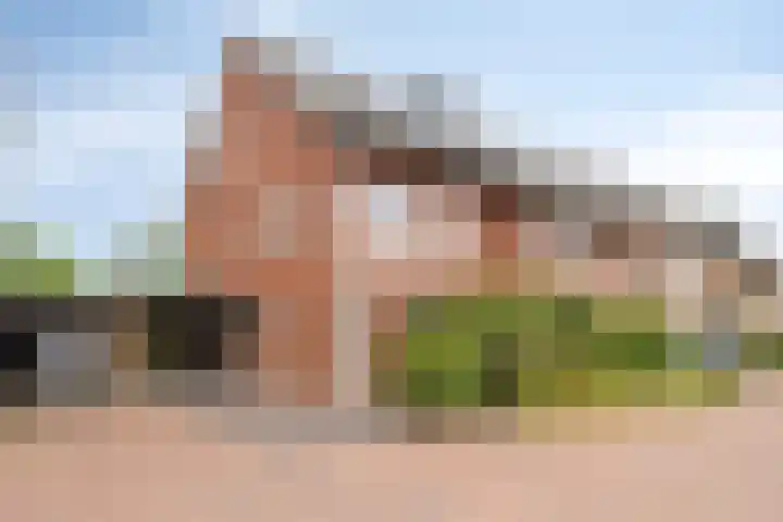 Het Blazoen 6 Rosmalen thumbnail 50