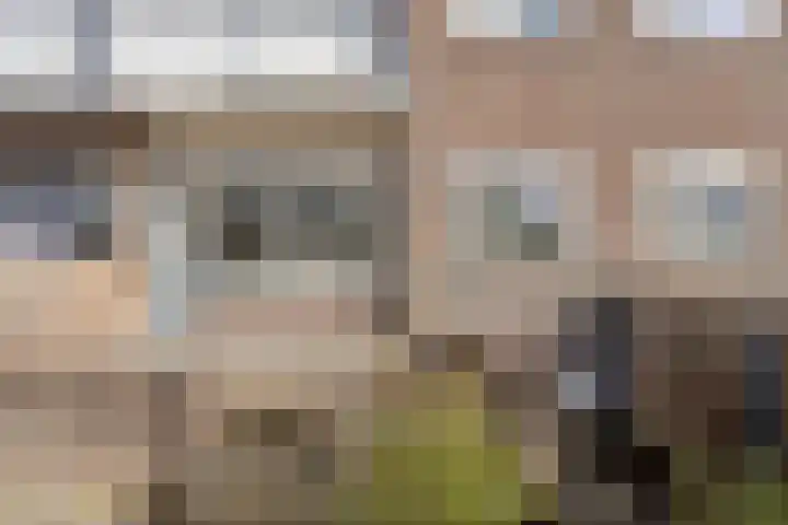 Het Blazoen 6 Rosmalen thumbnail 54