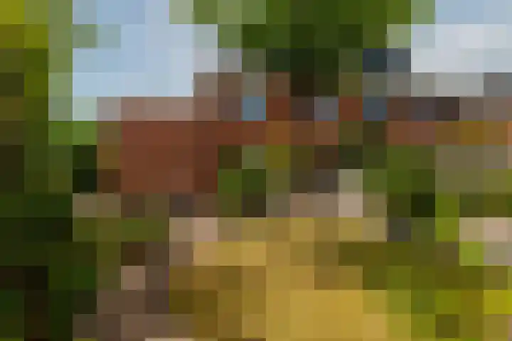 Het Blazoen 6 Rosmalen thumbnail 7