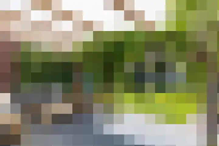 het Bleekveld 5 Oostwold thumbnail 47
