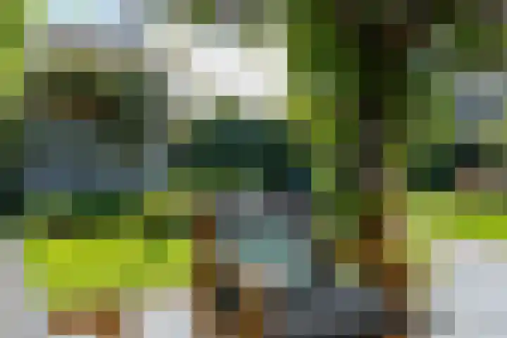 het Bleekveld 5 Oostwold thumbnail 48