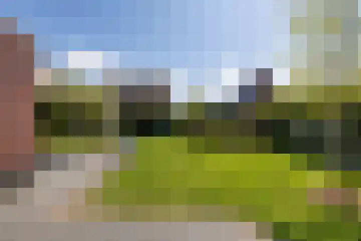 het Bleekveld 5 Oostwold thumbnail 52