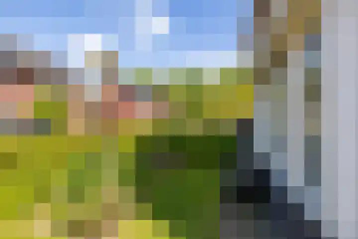 het Bleekveld 5 Oostwold thumbnail 56