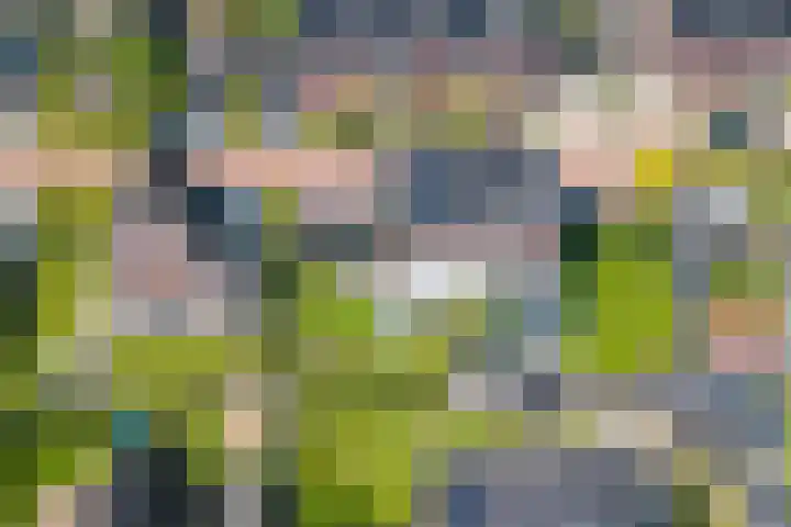het Bleekveld 5 Oostwold thumbnail 60