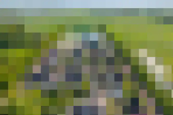 het Bleekveld 5 Oostwold thumbnail 62