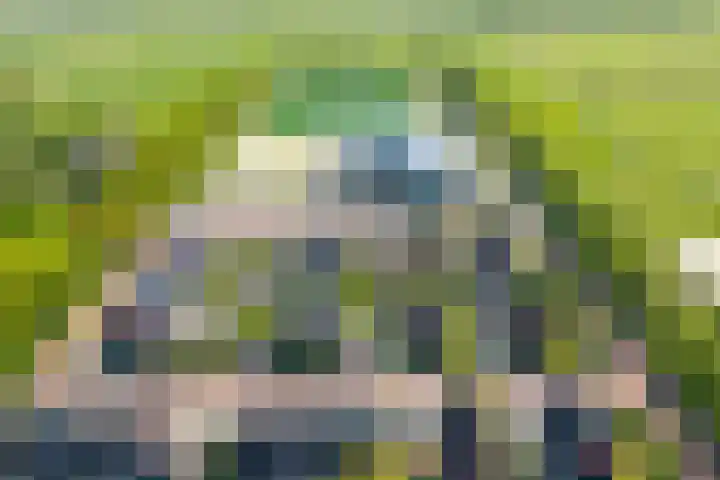 het Bleekveld 5 Oostwold thumbnail 63