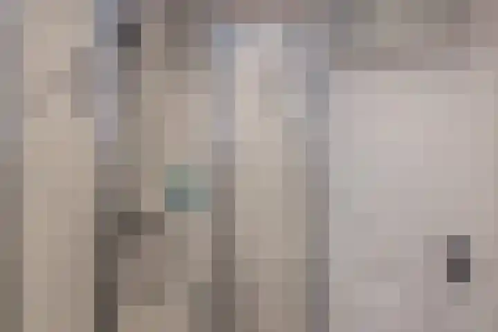 Het Blik 26 Groenlo thumbnail 10