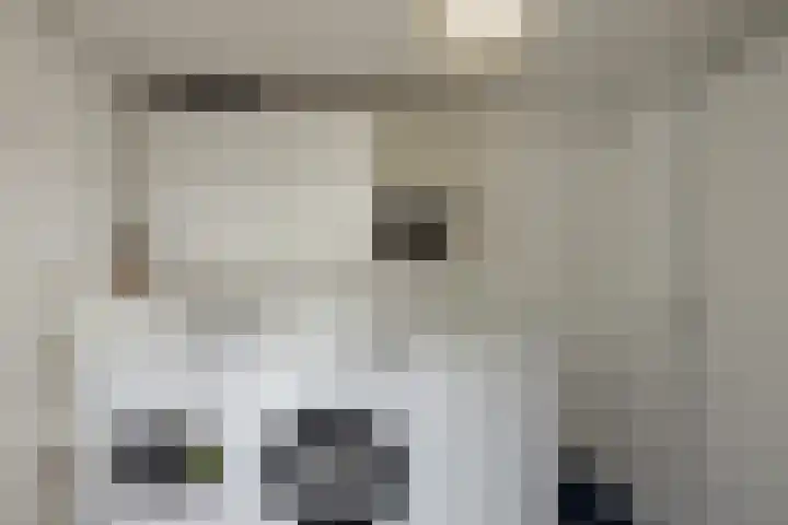 Het Blik 26 Groenlo thumbnail 11