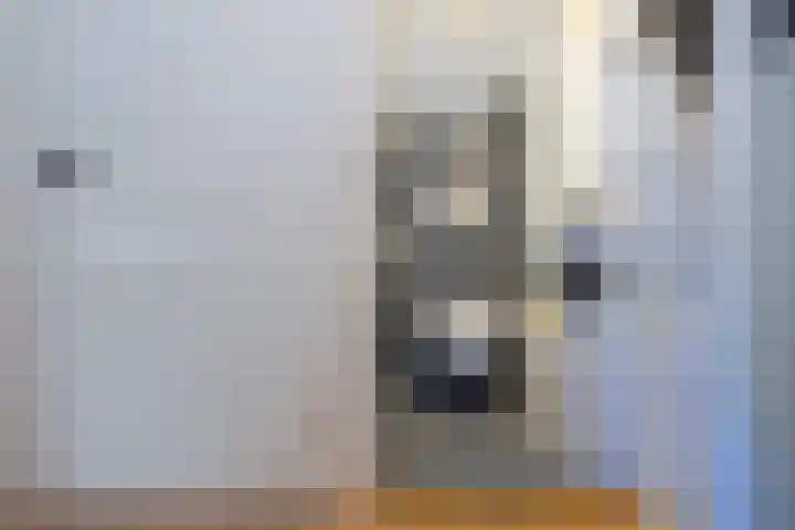 Het Blik 26 Groenlo thumbnail 17