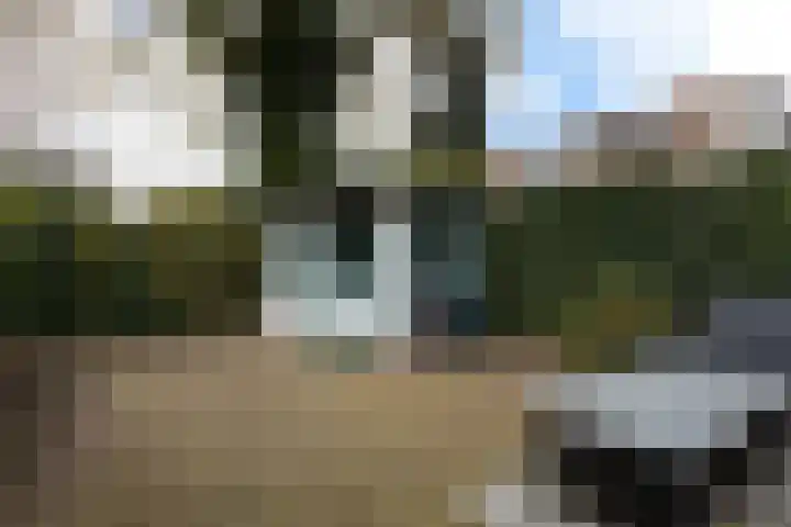 Het Blik 26 Groenlo thumbnail 22