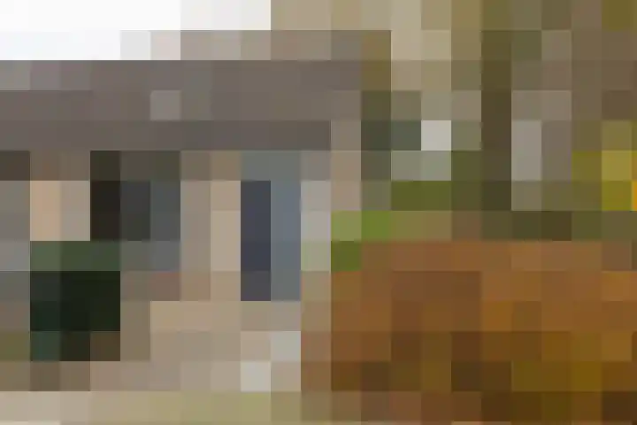 Het Blik 26 Groenlo thumbnail 24