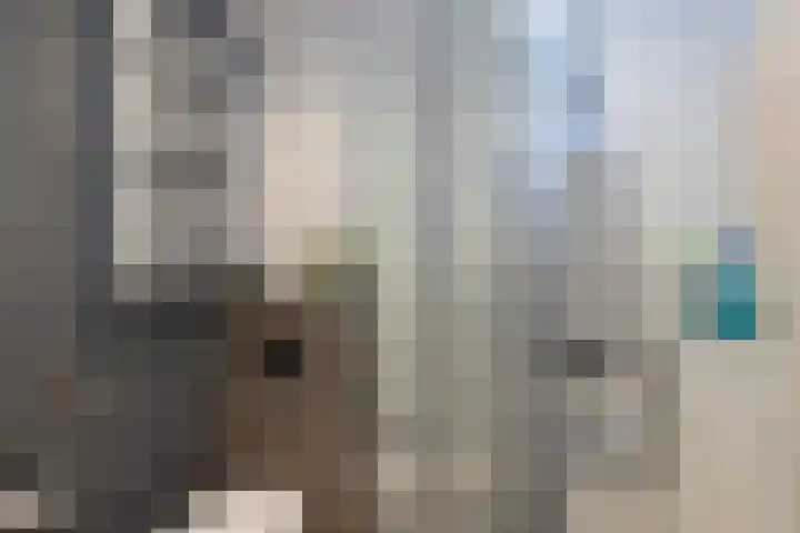 Het Blik 26 Groenlo thumbnail 9