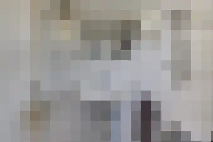Het Blik 66 Groenlo thumbnail 16