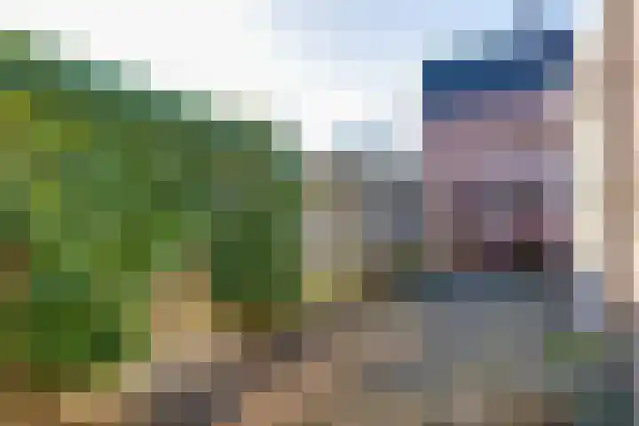 Het Blik 66 Groenlo thumbnail 22