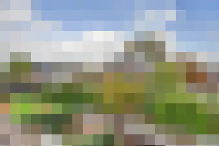 Het Bos 12 Meerkerk thumbnail 38