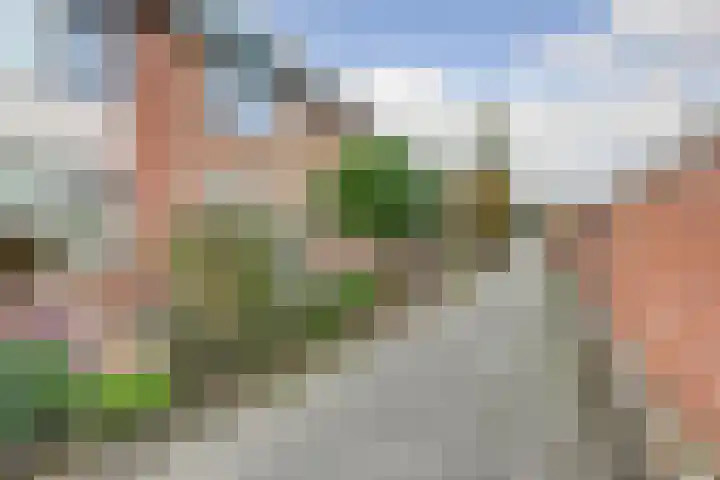 Het Bos 12 Meerkerk thumbnail 46