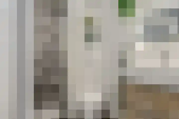 Het Bos 12 Meerkerk thumbnail 5