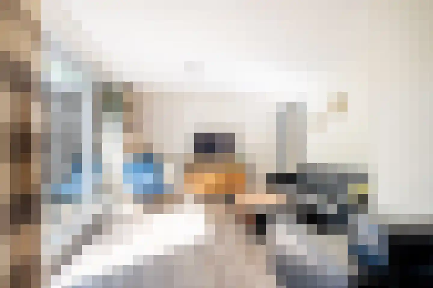 Het Bosmeer 2 Noordwolde thumbnail 10