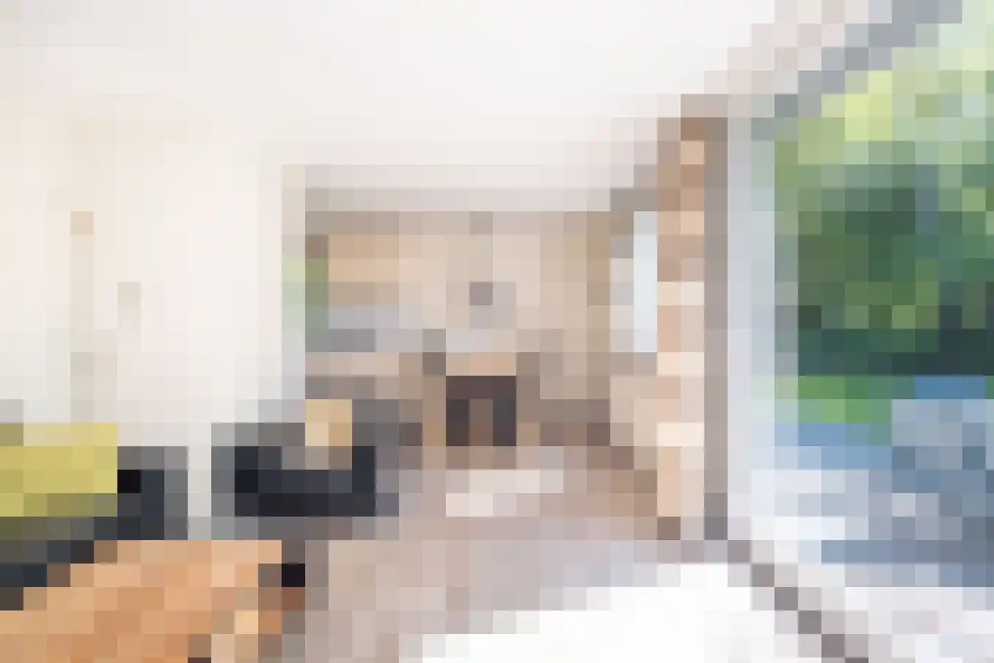 Het Bosmeer 2 Noordwolde thumbnail 15