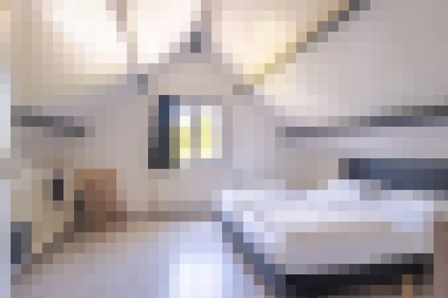 Het Bosmeer 2 Noordwolde thumbnail 23