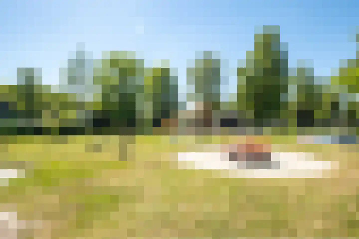 Het Bosmeer 2 Noordwolde thumbnail 29